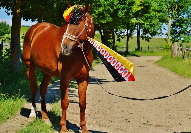 的卓越表现 的卓越表现