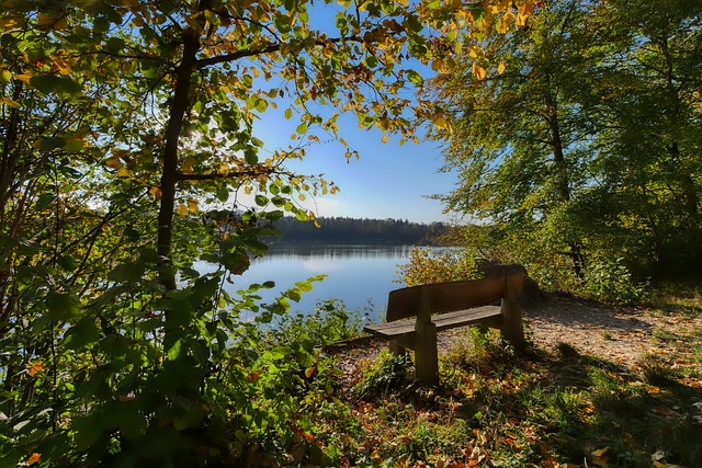 即便面临新 即便面临新