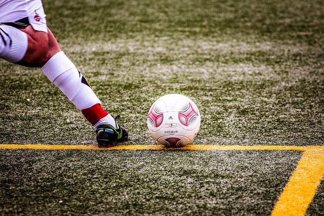 不仅普及了 不仅普及了