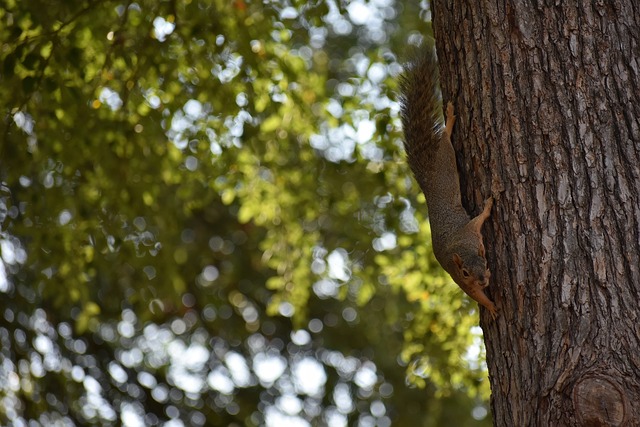 晰的传达与 晰的传达与
